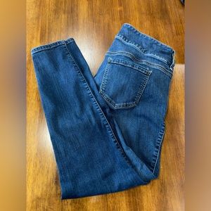 Torrid Premium Denim Skinny Jeans